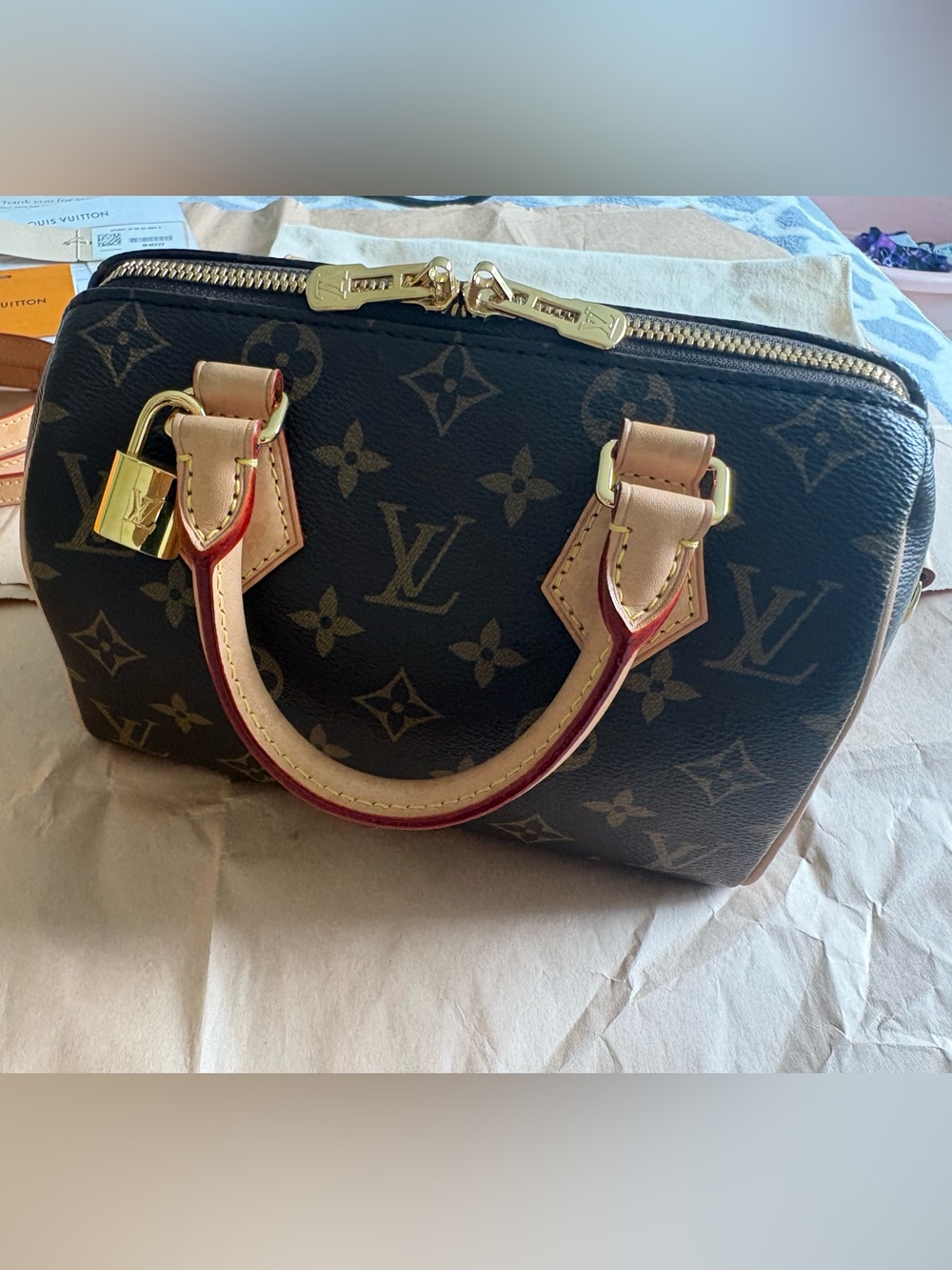 Louis Vuitton Speedy 20
